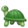TurtleInLove