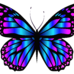 butterfly84