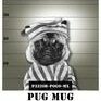 PugMug